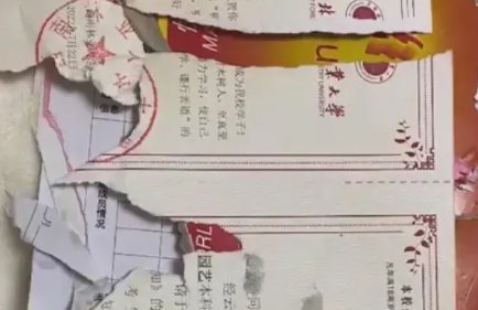 开学前录取通知书被狗狗咬碎，通知书被毁还能入学报到吗？