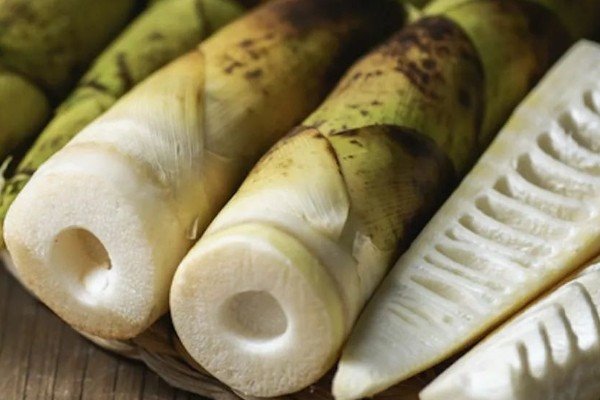 春天有什么特别的气味呢?