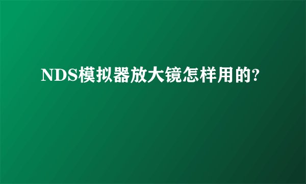NDS模拟器放大镜怎样用的?