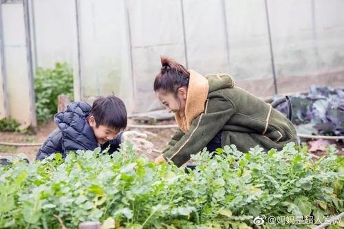 《婆婆和妈妈2》黄圣依杨子家族为奶奶换头像，你期待黄圣依和杨子这对吗？