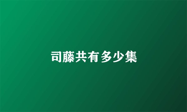 司藤共有多少集