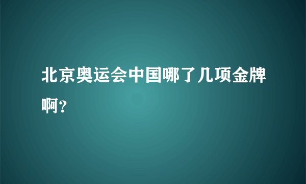 北京奥运会中国哪了几项金牌啊？