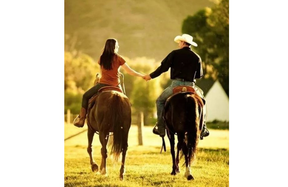 一个男生对一个女生说:两情若是长久时,又岂在朝朝暮暮.是什么意思啊?