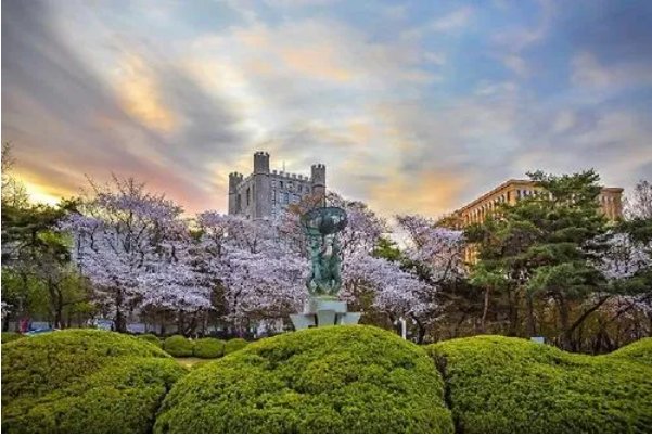 韩国大学前100排名