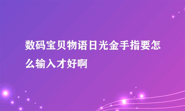 数码宝贝物语日光金手指要怎么输入才好啊