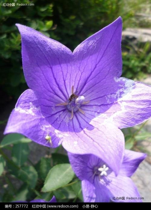 一个女孩和你住一个房间是好意吗？