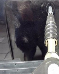 如何正确挂车牌号