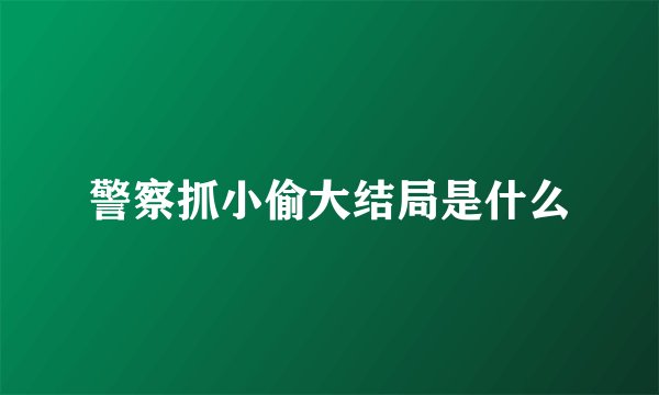警察抓小偷大结局是什么