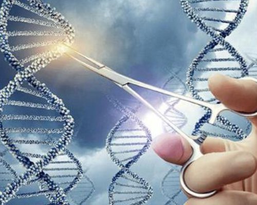 日本批准基因编辑河豚上市销售,基因编辑技术是否安全可靠?