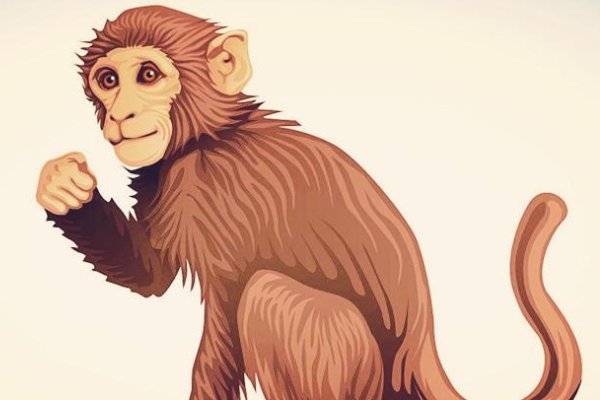 一龙一猪打一准生肖