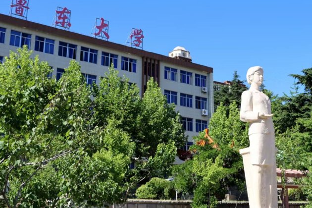 鲁东大学专科专业分数线2021