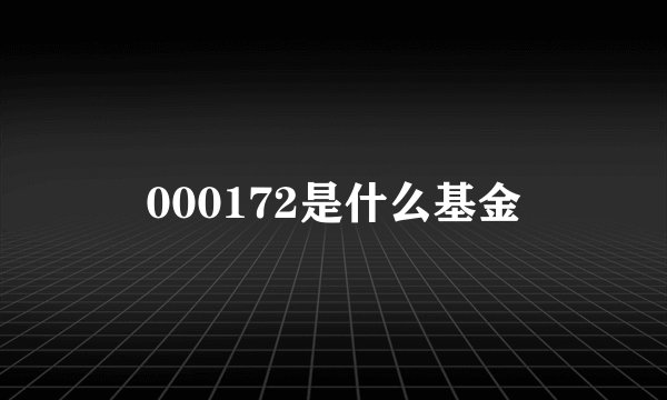 000172是什么基金