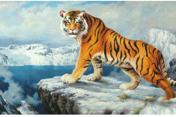 强者反己是什么肖