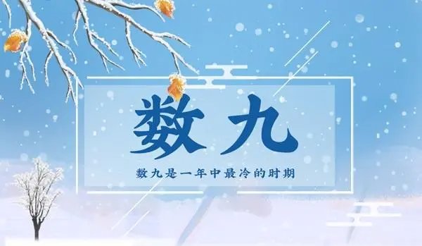 冬九九是什么意思