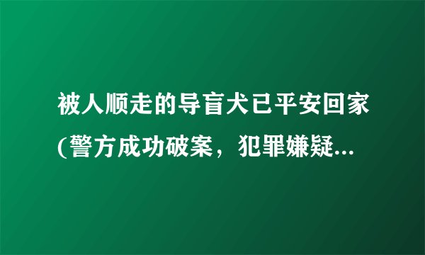 被人顺走的导盲犬已平安回家(警方成功破案，犯罪嫌疑人已被抓获)
