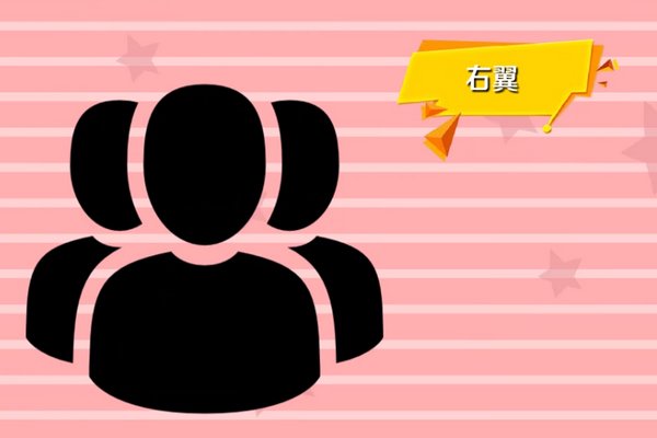 右翼和左翼什么意思