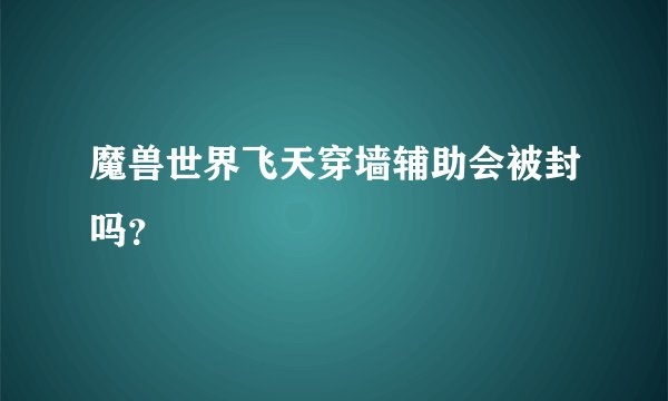 魔兽世界飞天穿墙辅助会被封吗？