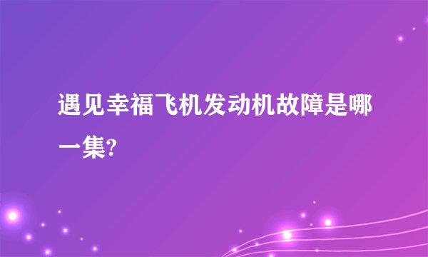 遇见幸福飞机发动机故障是哪一集?
