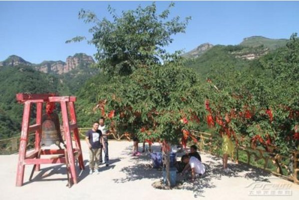 传说孟婆和月老曾是情侣，为何一个牵情丝，另一个断红尘？