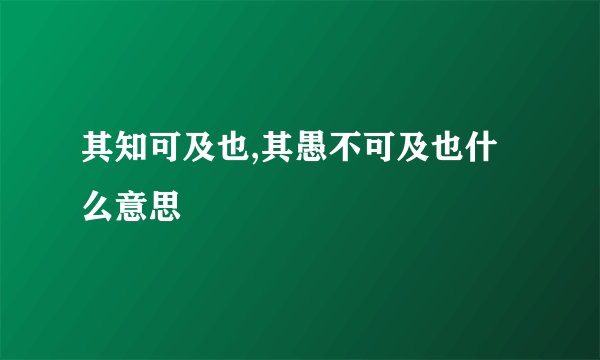 其知可及也,其愚不可及也什么意思
