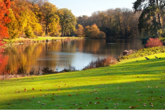 你对秋天的印象是什么?写一段话