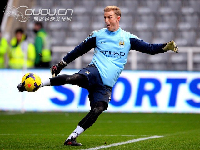 汤姆·赫德尔斯通的简介