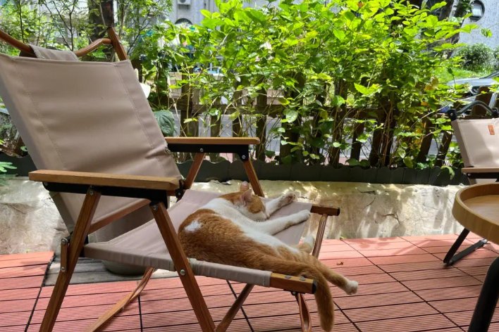 惬意这个词的意思