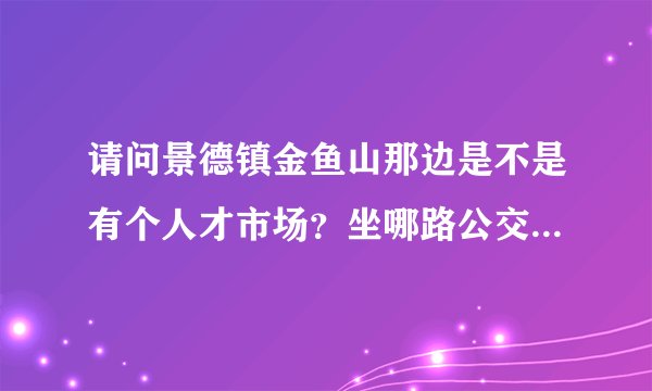 请问景德镇金鱼山那边是不是有个人才市场？坐哪路公交可以到啊？在哪个站下车？