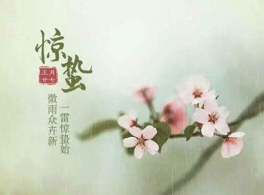 3月6号（惊蛰）有什么寓意