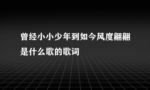 曾经小小少年到如今风度翩翩是什么歌的歌词