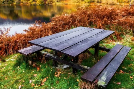 你对秋天的印象是什么?写一段话