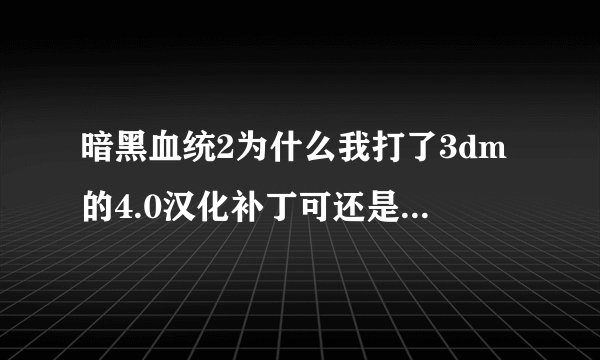 暗黑血统2为什么我打了3dm的4.0汉化补丁可还是一点用也没有