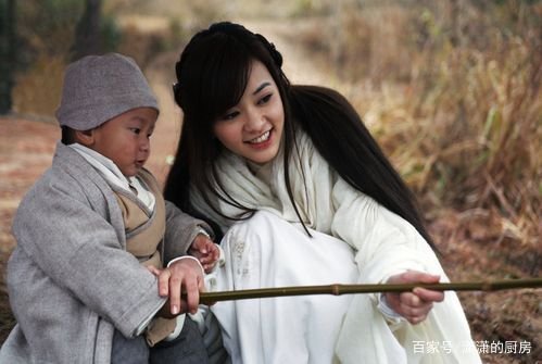 流星蝴蝶剑剧情分集介绍