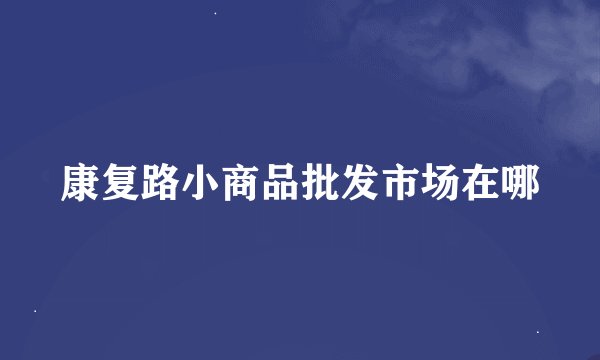 康复路小商品批发市场在哪