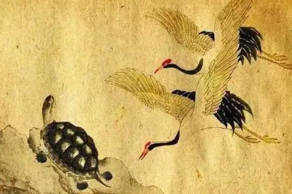 龟鹤之年打一精准生肖