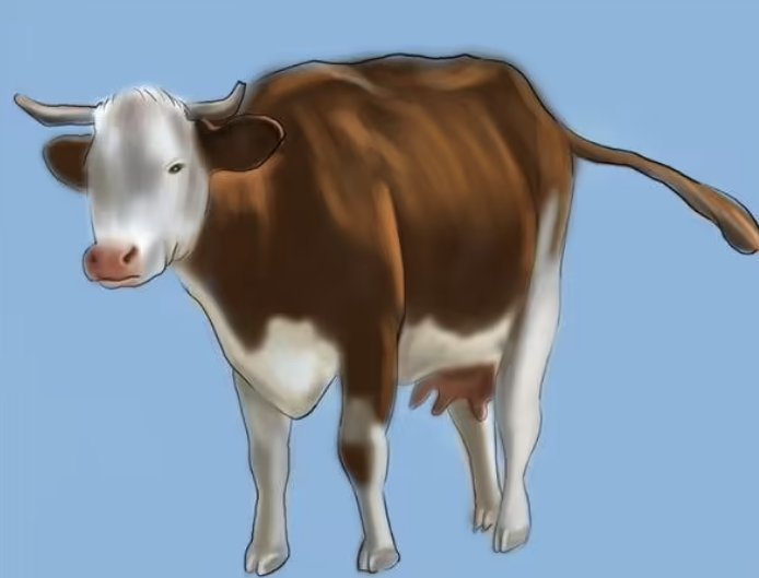 宣嚣一时什么意思