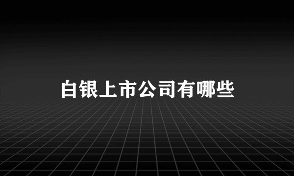 白银上市公司有哪些