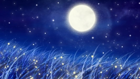 形容夜景美好的词？