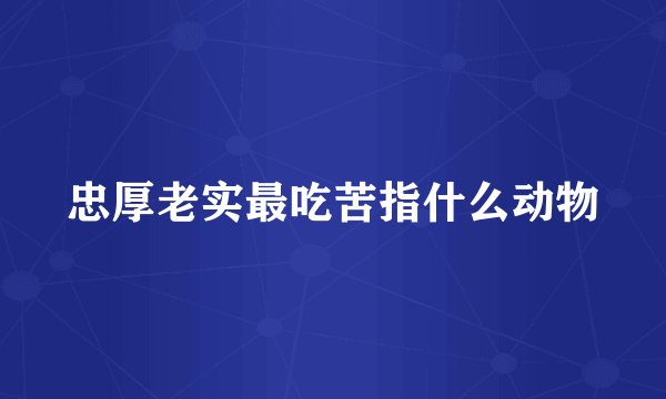 忠厚老实最吃苦指什么动物