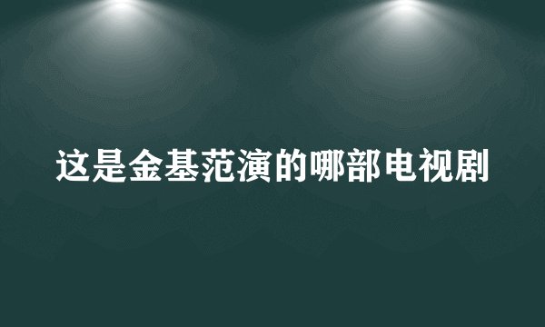 这是金基范演的哪部电视剧