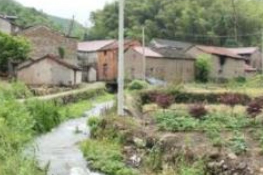 浙江最长寿老人清代出生，老人长寿秘诀是啥？