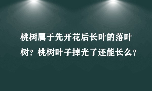 桃树属于先开花后长叶的落叶树？桃树叶子掉光了还能长么？