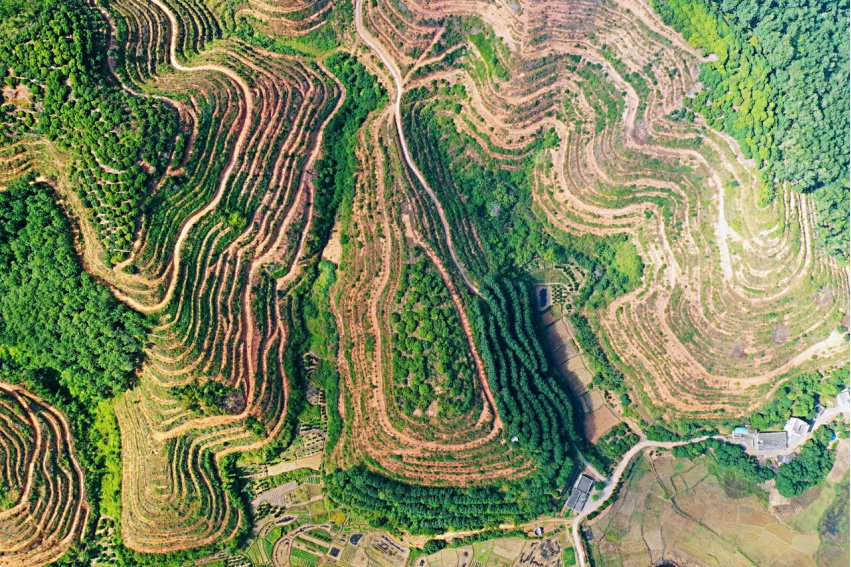 等高线按其作用不同分为()