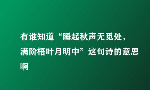 有谁知道“睡起秋声无觅处，满阶梧叶月明中”这句诗的意思啊
