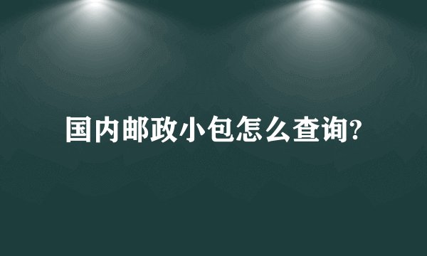 国内邮政小包怎么查询?