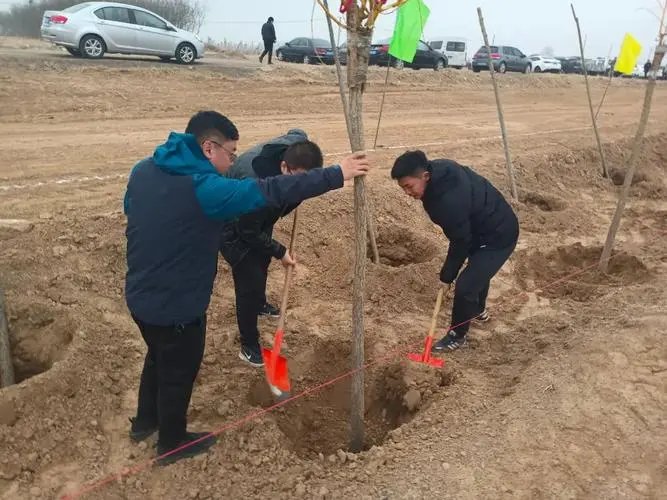 2022全国植树造林适宜范围地图已出炉，南北方哪里适合开展植树造林？