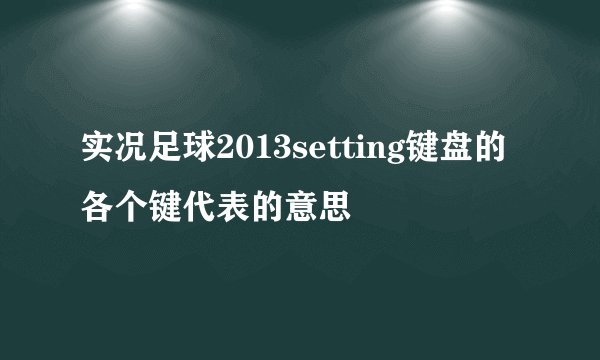 实况足球2013setting键盘的各个键代表的意思