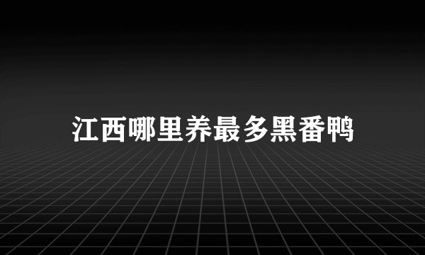 江西哪里养最多黑番鸭
