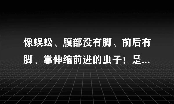 像蜈蚣、腹部没有脚、前后有脚、靠伸缩前进的虫子！是什么啊？