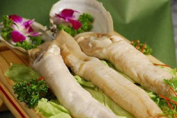 为什么象拔蚌,生蚝,鲍鱼都很像人类器官?